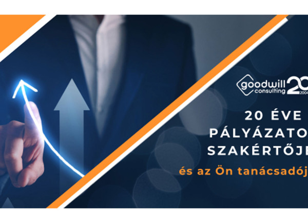 GoodWill Consulting Kft. - Budapest